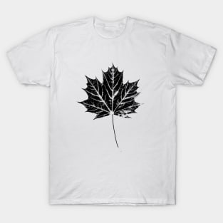 Maple Leaf Print T-Shirt